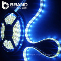 china supplier factory new product long life working led rope light